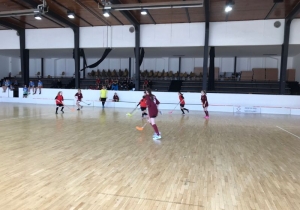 Florbalový turnaj smíšených mužstev