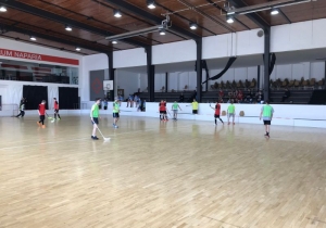 Florbalový turnaj smíšených mužstev