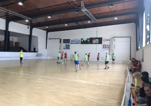 Florbalový turnaj smíšených mužstev