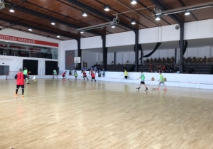 Florbalový turnaj smíšených mužstev
